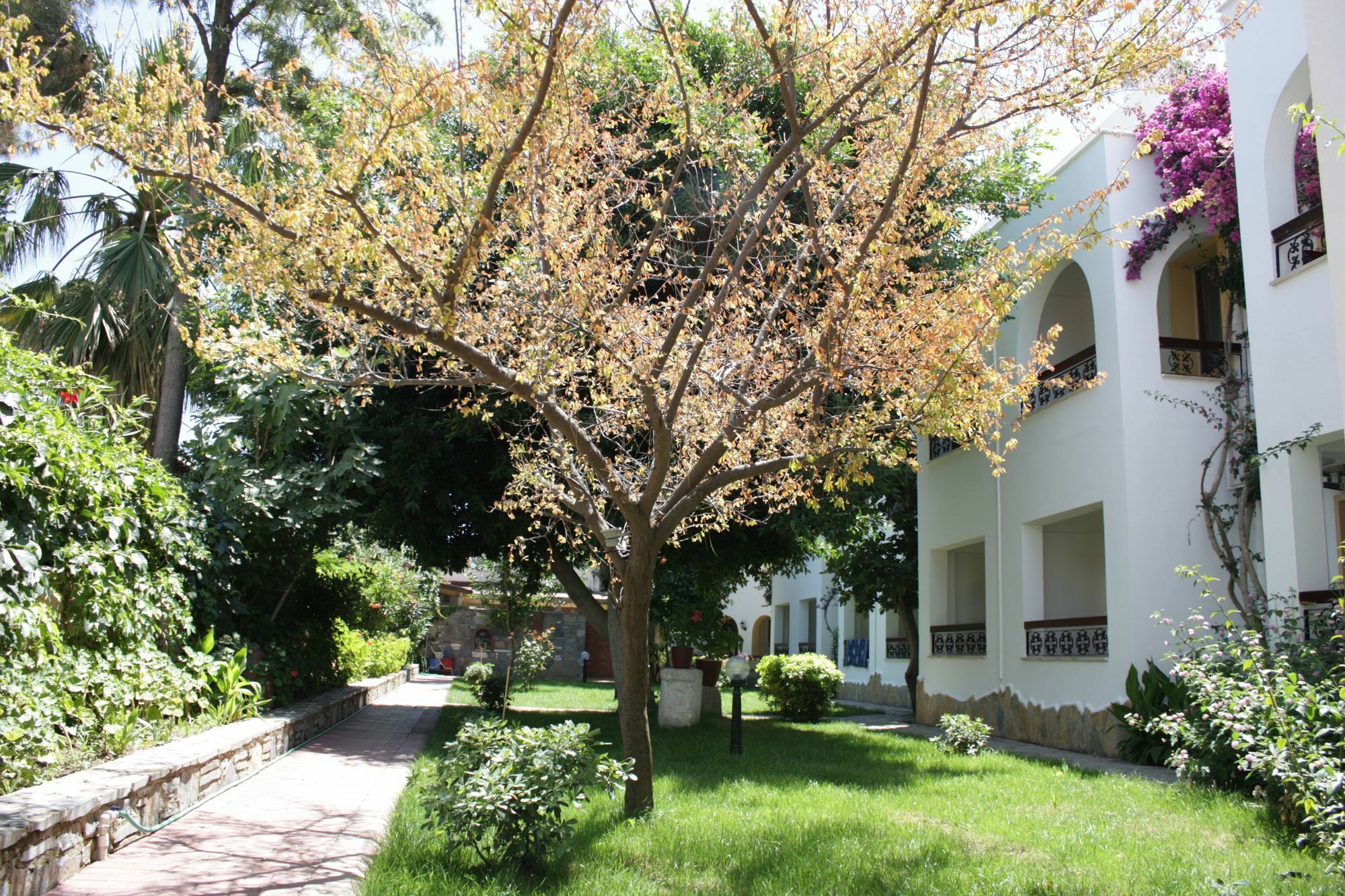 Toloman Hotel Bitez Beach Exterior foto